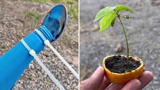 12 Simple Gardening Tips and Tricks