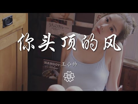 王小帥 - 你頭頂的風『我藏在人羣 中然後失去晴空』【動態歌詞Lyrics】