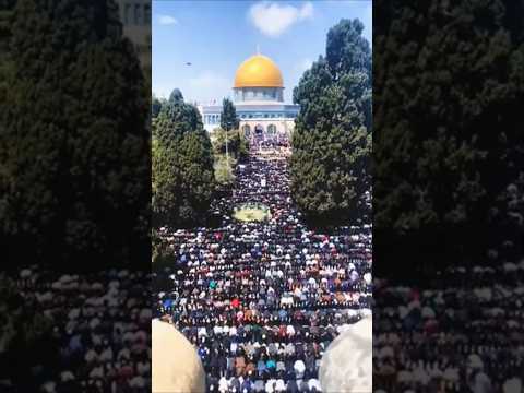 Nimn mein se achcha masjide aksa #duet #palestine #beautiful #love