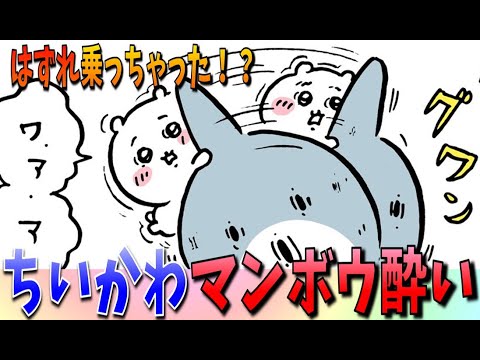 【ちいかわ】いつもと違って荒ぶるマンボウ！マンボウ利用者のハチワレによると…【最新話感想考察】