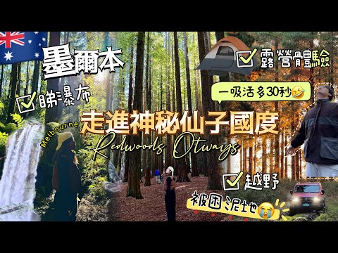 🇦🇺澳洲旅遊🧳野外露出體驗🐨結晒冰🧊￼🏕️神秘仙子🧚‍♀️加州紅木森林-尋找稀有鴨嘴獸￼🐾行山看瀑布｜🚗4x4 越野體驗泥地🤪原來好危險⚠️😵‍💫我以為我出唔返嚟😭困足3小時‼️ 不一樣的大洋路2