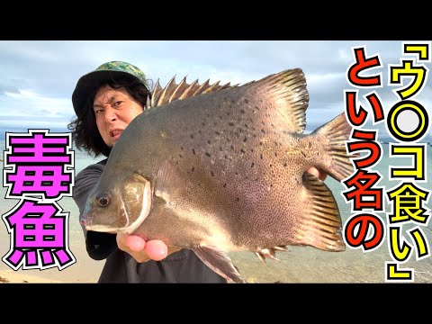 「ウンコ食い」という名の毒魚を食べてみた&刺されてみた