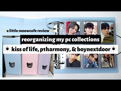 ☼ reorganizing my pc collection ☀︎ kiss of life, p1harmony, & boynextdoor ☼ a little meowcafe review