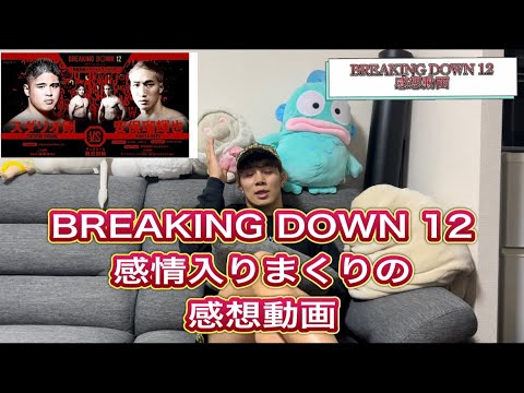 BreakingDown12感想動画　引くぐらい悪口言ってます！！！