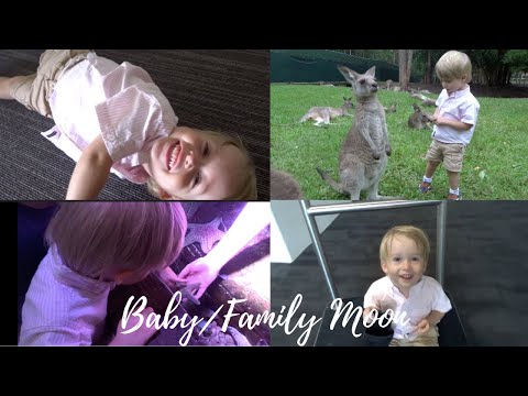 BABY/FAMILY MOON | Alfie's Adventures