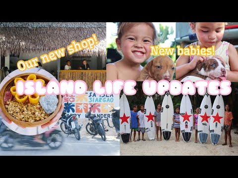 We're Back! (Island Life Updates) New Surf Shop & Cafe, puppies, and more!