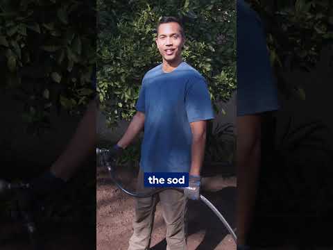 Transform Your Backyard with New Sod!