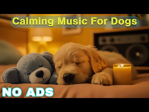 12 HOURS of Relaxing Music For Dogs💖🐶Anti Separation Anxiety Relief🐶💖Pet music🎵 Deep Sleep🐶