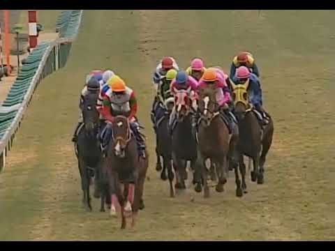 ジャングルポケット 2002年 第47回有馬記念(GI) (優勝馬：シンボリクリスエス) (実況：ラジオたんぱ)