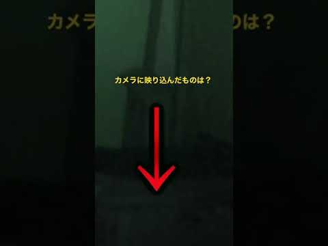 幽霊！？カメラに映り込んだ瞬間！　#shorts