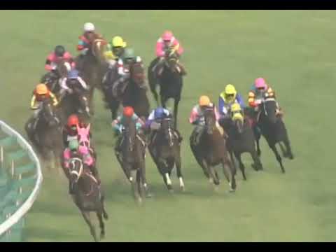 ラインクラフト 2005年 第23回関西テレビ放送賞 ローズステークス(GII) (優勝馬：エアメサイア) (実況：ラジオNIKKEI)