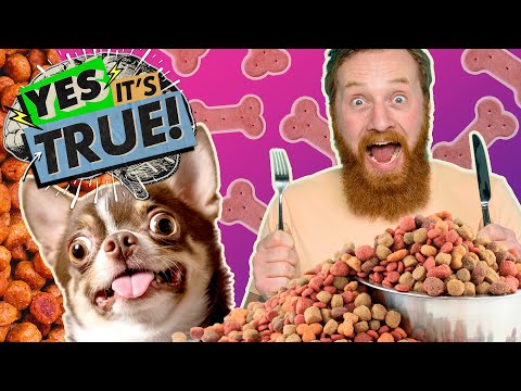 Someone Gets PAID To Eat DOG FOOD?!  | YES IT'S TRUE