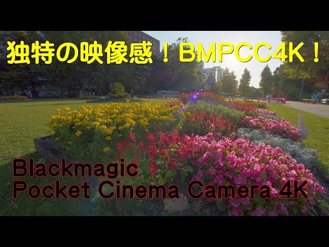 独特の映像感！BMPCC4K！