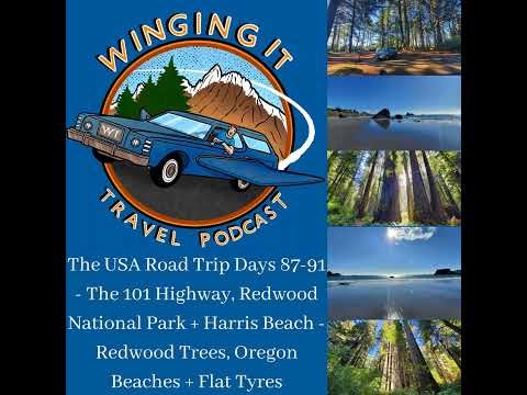 The USA Road Trip Days 87-91 - The 101 Highway, Redwood National Park + Harris Beach - Redwood Tr...