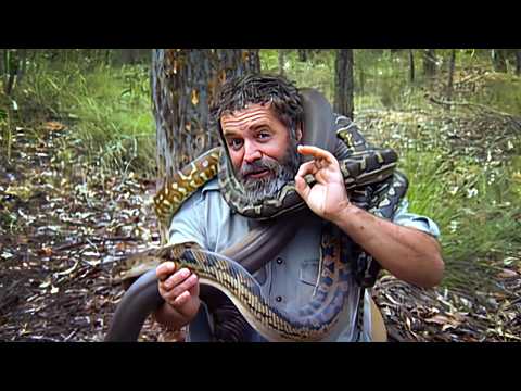 Australia's Deadliest Pythons