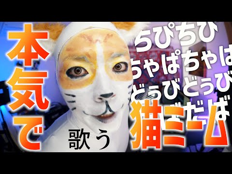 【猫ミーム】本気で「チピチピチャパチャパ」歌う【Christell - Dubidubidu】