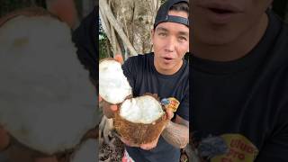 How To Identify A Sprouted Coconut 🥥🌱