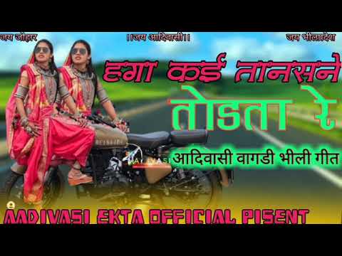 सुपर हिट गीत 2023 हगा कई तानसने तोडता रे   आदिवासी वागडी भील गीत #timli #aadivasi #viral #video