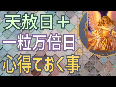 【天赦日】天赦日＋一粒万倍日💰心得ておく事🤔凄い運気を掴む‼️オラクルカードリーディング✨スピリチュアルカードリーディング✨占い✨宝くじ✨