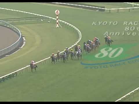 ヒシミラクル 2005年 第131回天皇賞(春)(GI) (優勝馬：スズカマンボ)(実況：ラジオたんぱ)