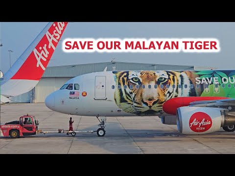 AirAsia Malayan Tiger Aircraft Painting