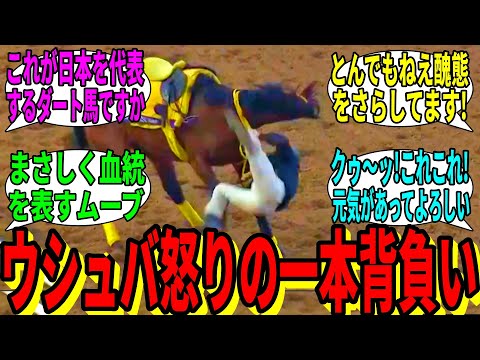 【競馬の反応集】「ウシュバ「調教行きたくない…せや！」に対する視聴者の反応集