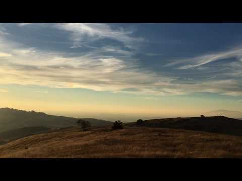 Coyotes howling during sunset on the Ridge Trail in Santa Teresa County Park