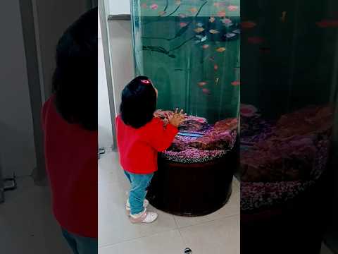 #fishing #fishvideoforkids #baby #kidstoys #funny #comedy #trending #viralshorts #cuteaby #cartoon