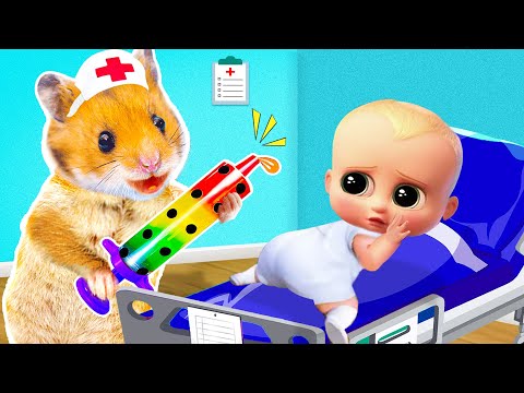 Stop It! Hamster Maze Pretend A Doctor Check Up Bro Got Sick | Life Of Pets HamHam