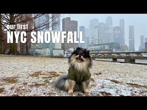 Our First NYC Snowfall | Life in NYC