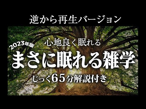 【逆から再生】まさに眠れる雑学【リラックス】いつもより深い睡眠を♪