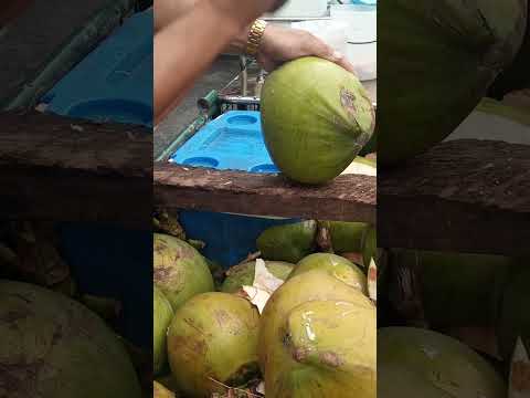 super amazing coconut peeler Asmr #cuttingskils #streetfood #youtubeshorts @GatchieJr33