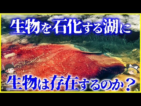 【ゆっくり解説】生物を石化する恐怖の赤い湖「ナトロン湖」に生物はいるか？を解説/なぜ赤色なのか？漂白剤と同じ強さの強アルカリ塩湖