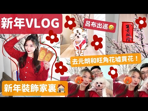 VLOG🧧新年家居佈置🏠花墟買櫻花😍🌸 元朗拉麵推薦！呂布看花記💐🧸Heyman Lam🧸