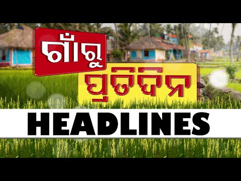 7.30 PM Headlines | 19th November 2024 | Odisha TV | OTV