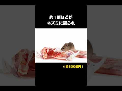 麻薬王パブロ・エスコバルに関する興味深い雑学 #shorts