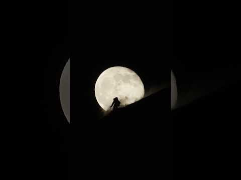 Luna Ski 🌙 Skiing in the Canadian Rockies under the light of the moon live over on @RobHeule YT