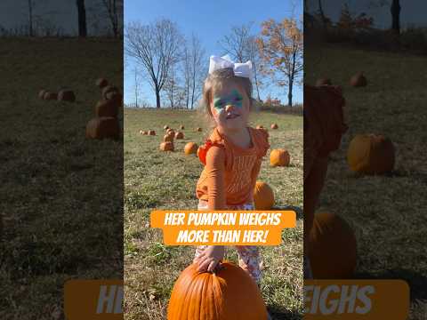 When you find the perfect pumpkin! #pumpkinpatch #funny #toddler #momlife #fall #pumpkin