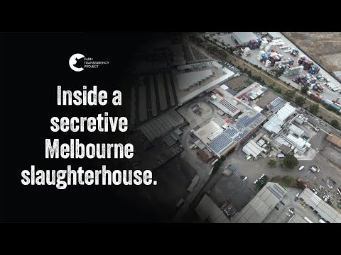 Inside the Highly Guarded Cedar Meats  | Shut Down Slaughterhouses