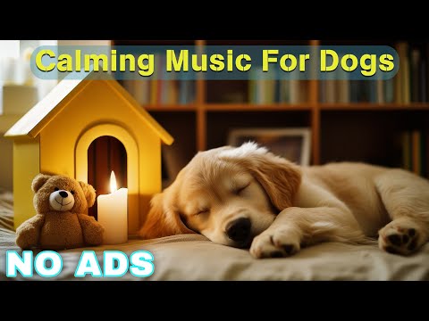 12 Hours of Dog Calming Music for Dogs 🎵 Dog Sleep Music 🐶 Separation Anxiety Relief Music ⭐No Ads