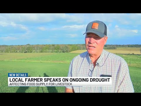 Alabama farmers affected by ongoing drought