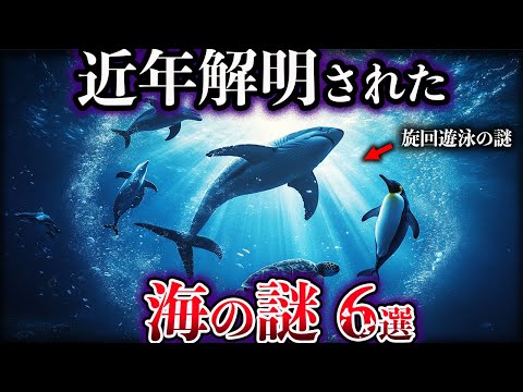 【ゆっくり解説】近年、解明された海の謎６選【Part3】