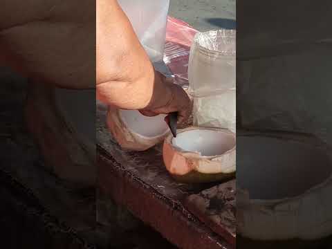 PAGKAYOD ng BUKO pH street food #satisfying #buko #streetfood #youtubeshorts #Gatchie Jr