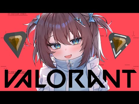 【VALORANT】ブロンズベイビーがコンペいく【ホロライブ/夏色まつり】