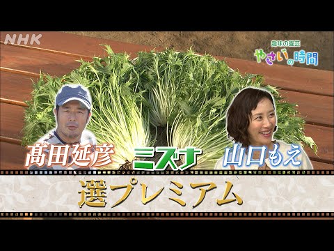 [やさいの時間]【11/17(日)放送】選プレミアム映像！高田延彦、山口もえがミズナ栽培に挑戦！ | NHK