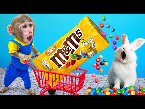 KiKi Monkey go shopping World's Biggest M&M Candy Bar at Store with Rabbit | KUDO ANIMAL KIKI