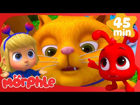 Monster Cat!✨Morphle✨Cartoons for Kids✨Fantasy Playground