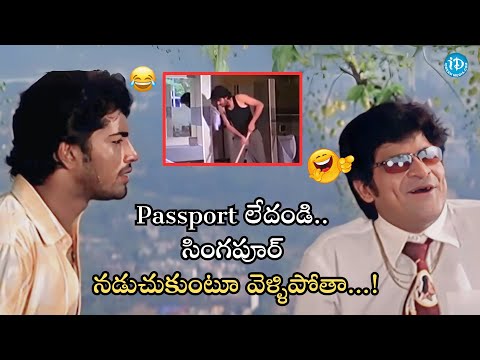 Passport లేదండి... | Best Comedy Scenes | Ms Narayana | Allari Naresh | Ali | iDream HD Movies