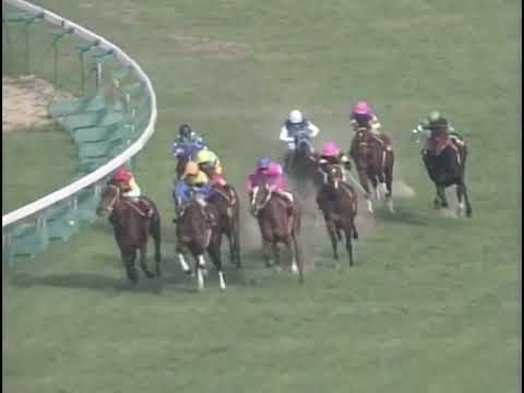 ジャングルポケット 2002年 第50回阪神大賞典(GII) (優勝馬：ナリタトップロード)