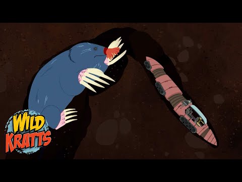 Escaping a Star-Nosed Mole | Happy Halloween | Wild Kratts